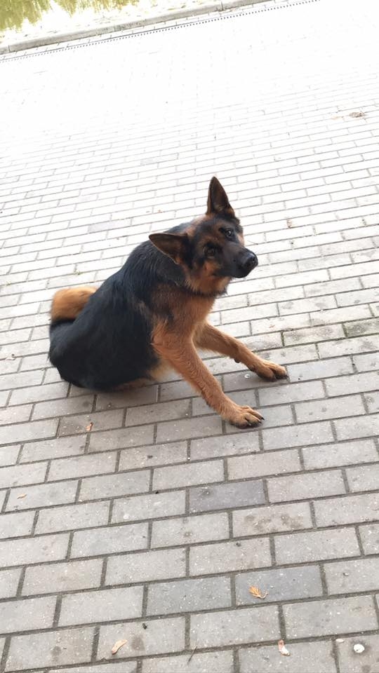 Varbūt kāds zina, kam pieder?