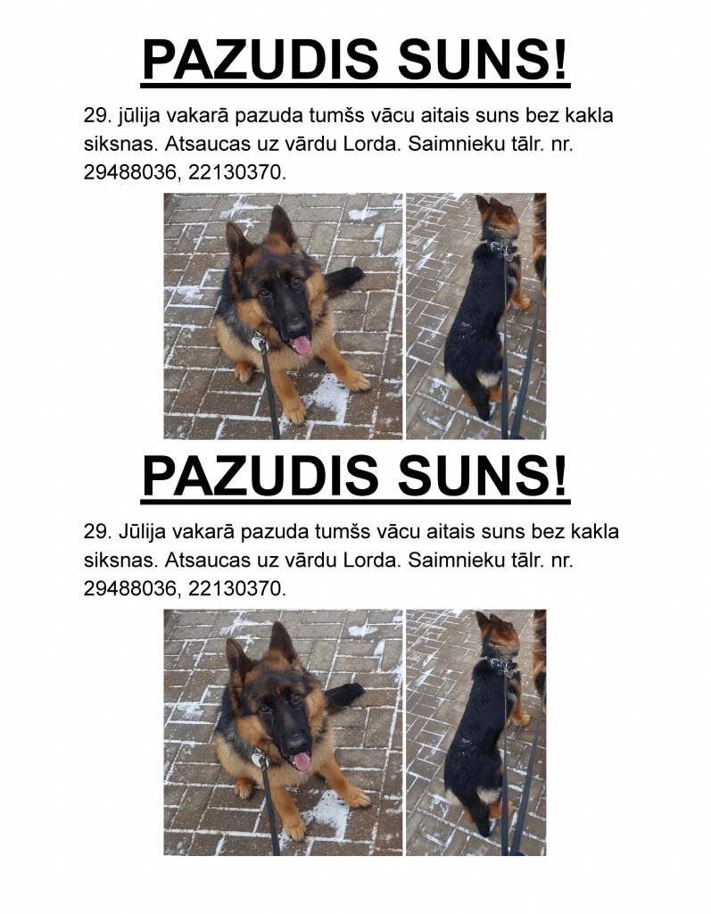 Lūdzu, palīdziet atrast sunīti Lordu!