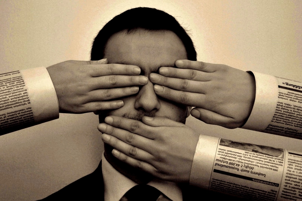 Vara, politika un žurnālistika
