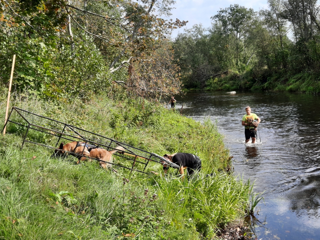 FOTO: Treniņnodarbības ar laika fiksāciju "Stipro skrējiens ar suni" Velēnā 