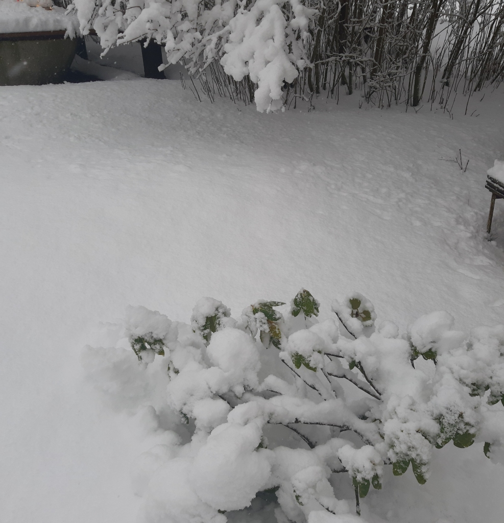 Brīdina par stipru snigšanu Latvijā šodien