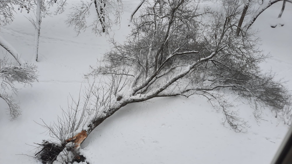 Rīgā pirmo reizi vēsturē izsludināts sarkanais brīdinājums par ekstremāli stipru snigšanu